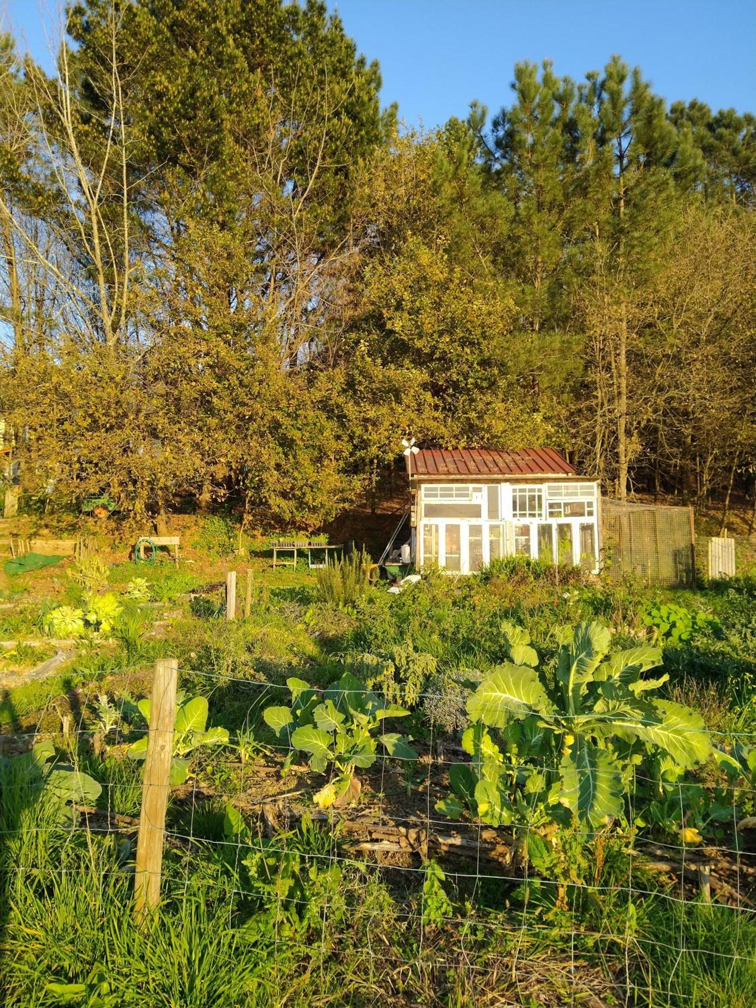 Associacao Quinta Das Relvas Branca 外观 照片