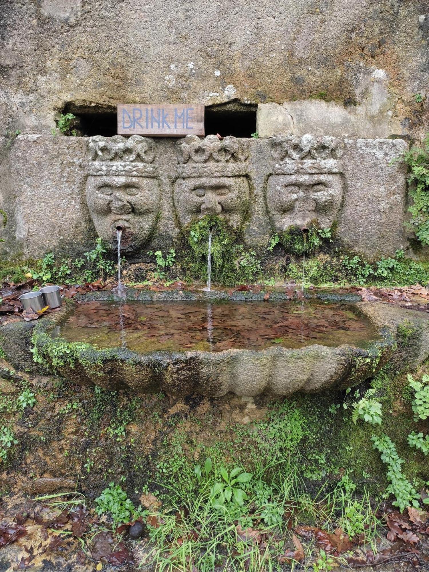 Associacao Quinta Das Relvas Branca 外观 照片