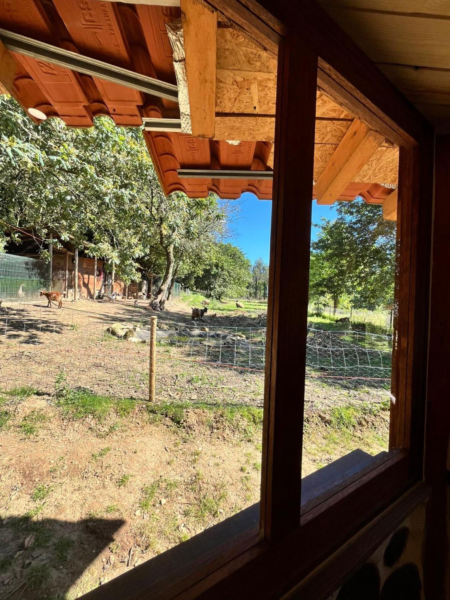 Associacao Quinta Das Relvas Branca 外观 照片